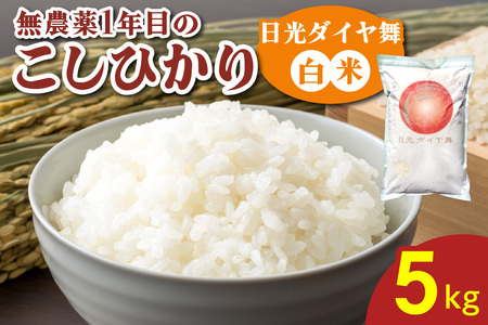 [令和7年度米] 無農薬1年目 こしひかり [日光ダイヤ舞／白米 5kg] 令和7年10月中旬より順次発送｜2025年度米 無農薬米 オーガニック コシヒカリ 新米 精米 お米 ごはん ご飯 日光産 国産 産地直送 先行予約 [0624]