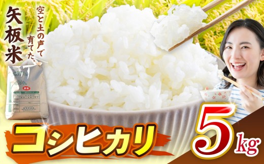 こしひかり 5kg 空と土の声を聴いて育てた「矢板米」 | お米 米 栃木県 矢板市