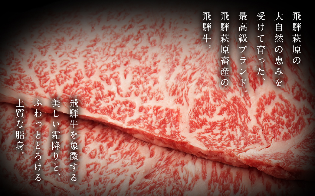 【冷凍】飛騨牛サーロインステーキ  200g×2枚 牛肉 国産 ブランド牛【22-17】