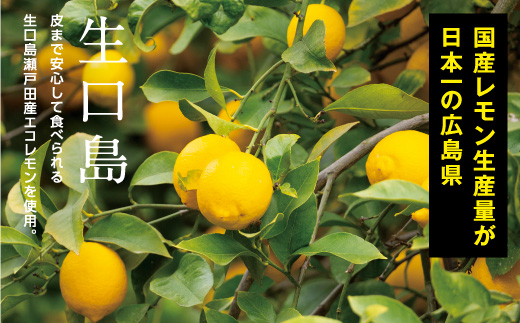 G7広島サミットコーヒーブレイクで採用！瀬戸田レモンケーキ島ごころ15個【レモンケーキ 瀬戸田レモン 焼き菓子 洋菓子 スイーツ お菓子 お取り寄せスイーツ 名産 ご当地スイーツ 支援品 返礼品 特産