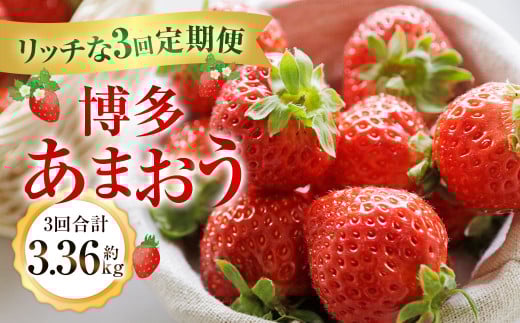 博多あまおうリッチな3回定期便【2025年12月上旬～2026年2月下旬発送予定】 いちご イチゴ 苺 あまおう 大きい 大粒 あまい 甘い 果汁 果物 フルーツ 高級 3.36kg 3360g 福岡 冷蔵