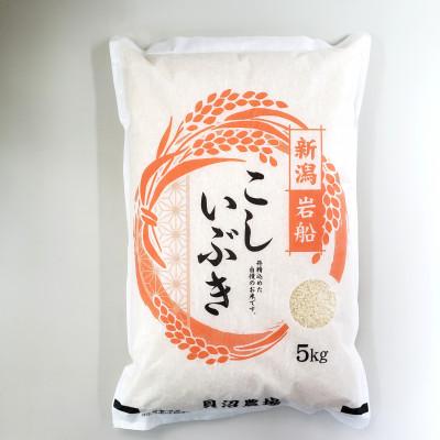 ふるさと納税 村上市 新米【令和7年産米】こしいぶき 白米5kg(5kg×1) 新潟県村上市岩船産　1067101 | 
