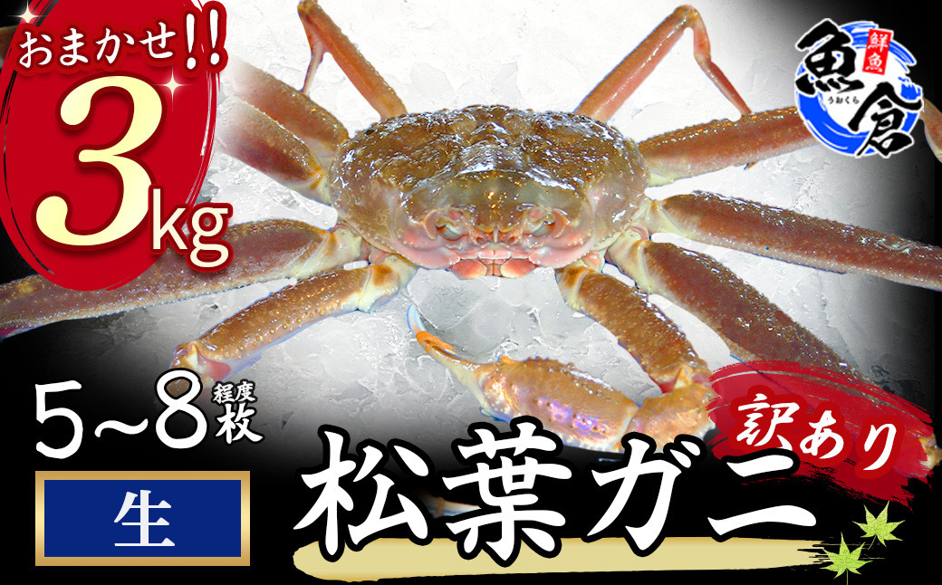 
                  【魚倉】松葉がに 生 おまかせセット 3kg 訳あり 松葉ガニ カニ ズワイガニ カニ爪 冷蔵 かにしゃぶ カニ刺身 ずわいがに わけあり 期間限定 国産 限定価格 限定寄付額 鳥取県 倉吉市
                