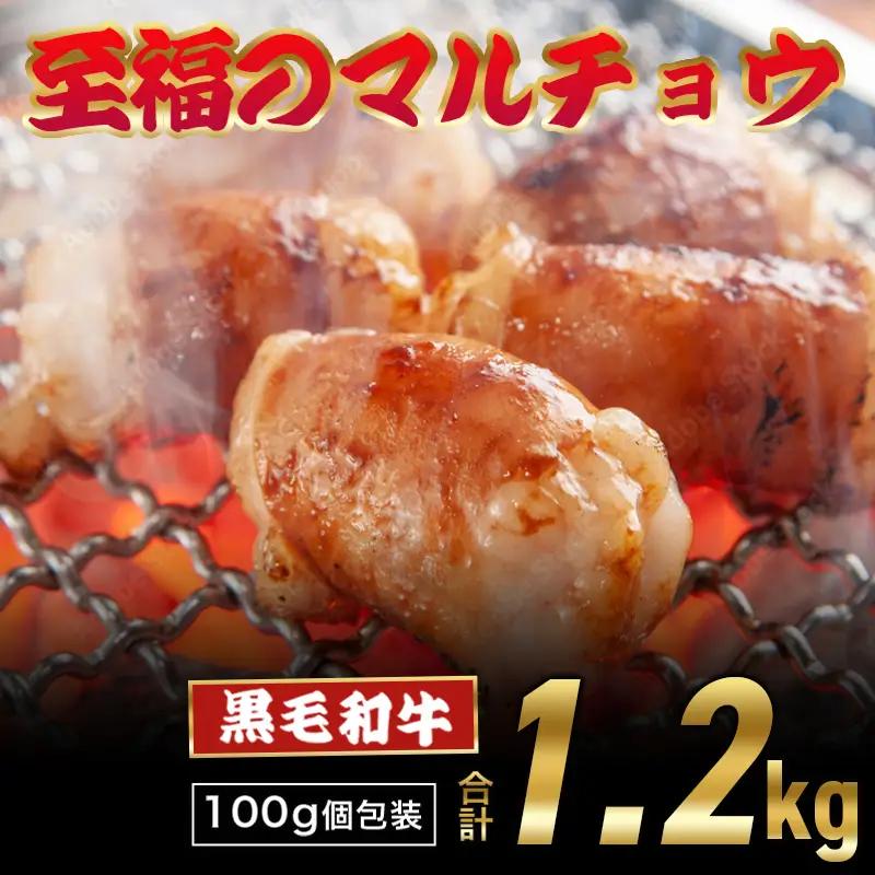 【ホルモン】 黒毛和牛 マルチョウ 西京味噌焼き 1.2kg (100g×12) 丸腸 ホルモン