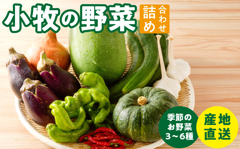 
ネオコスモ農園で採れた小牧の野菜詰め合わせ
