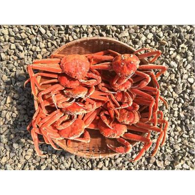 ふるさと納税 様似町 【訳あり】「蒸し」オオズワイガニ20杯　約4kg〜5.2kg