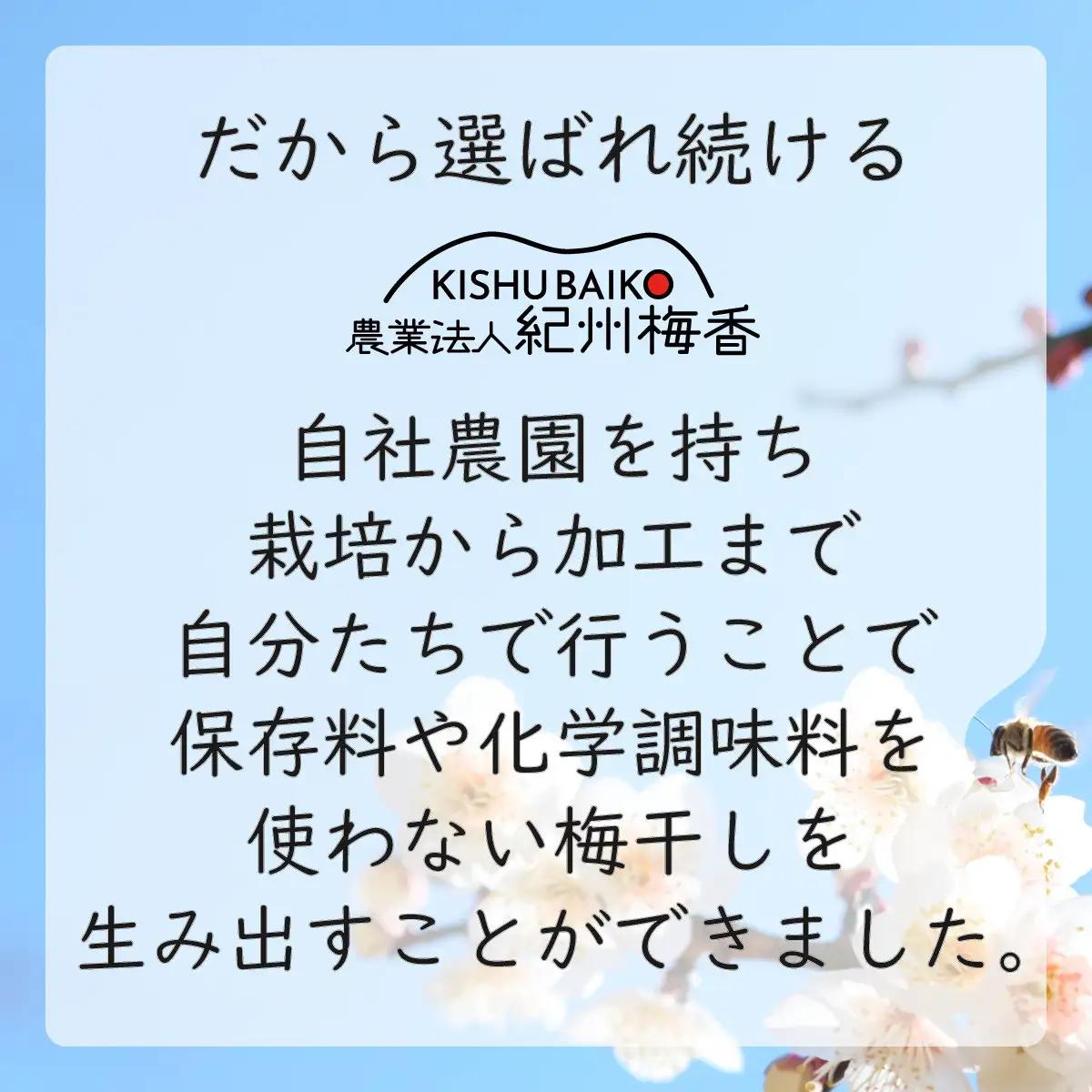 無添加 昔ながらの梅干し 塩のみで漬けたすっぱい梅干し 1kg（500gパック×2個）塩分20％ 3年熟成品 食感カリカリ ガリ梅 皮硬め 20-GARI ［KU9］
