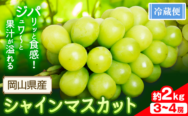 シャインマスカット 約2kg (3-4房)【配送不可地域あり】（北海道・沖縄・離島） 花田青果株式会社《2026年9月上旬-10月末頃出荷》マスカット 送料無料 岡山県 浅口市 シャインマスカット ぶ