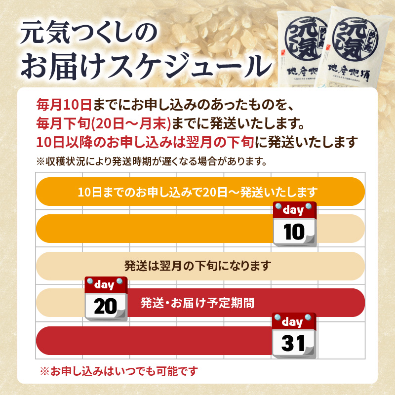 九州・福岡からお届け！ブランド米「元気つくし」定期便 10kg(5㎏×2)【全10回】  お米 米 コメ 白米 特A 直送 お弁当 おにぎり 炊きたて ツヤ 粘り もちもち 弾力 卵かけご飯 福岡県 