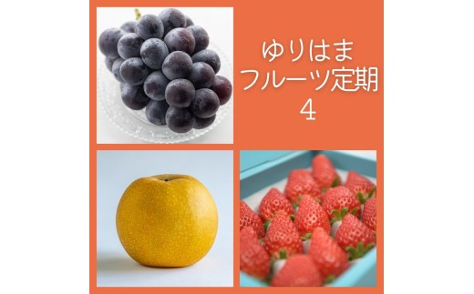 38M.ゆりはまフルーツ定期便④