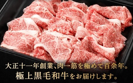 【やまぐち和牛燦】 牛切り落とし 約500g 牛切り落とし 切り落とし 牛肉 冷凍 福岡県 北九州市