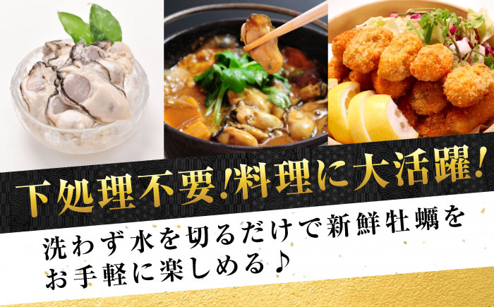 広島牡蠣の老舗！安心・安全の新鮮牡蠣【生牡蠣】牡蠣 かき むき身 厳選 プレミアム瓶入り400g 生食用 魚介類 海鮮 広島県産 江田島市/株式会社かなわ [XBP005]