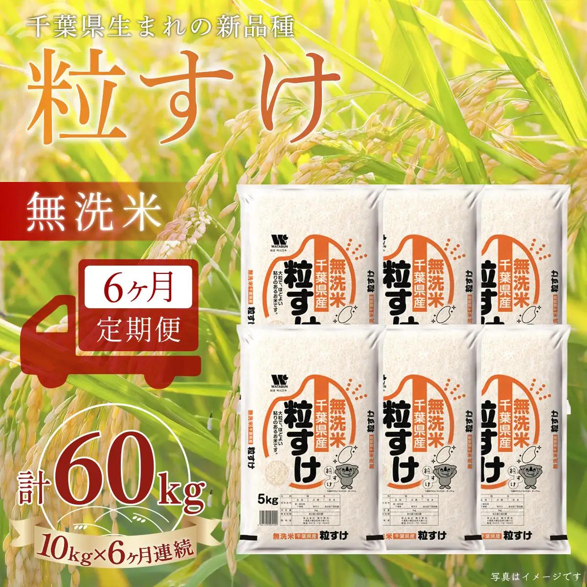 ＜6か月定期便＞ 千葉県産「粒すけ」無洗米 10kg×6か月連続 計60kg A100
