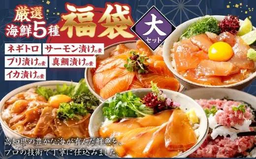海鮮職人の厳選五種福袋 大 鮮魚 ネギトロ サーモン ブリ 真鯛 イカ ギフト 福袋 魚 海鮮 魚類 魚介 厳選 サーモンの漬け丼 ブリ漬け丼 真鯛漬け丼 イカ漬け丼 冷凍 宝箱 海鮮料理 食べきりサイズ