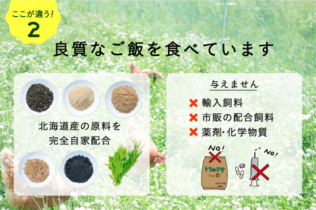 【全2回定期便】こだわりの無投薬･平飼い有精卵 25個《厚真町》【テンアール株式会社】 たまご 卵 鶏卵 玉子 生卵 平飼い 北海道 定期便[AXAN125]