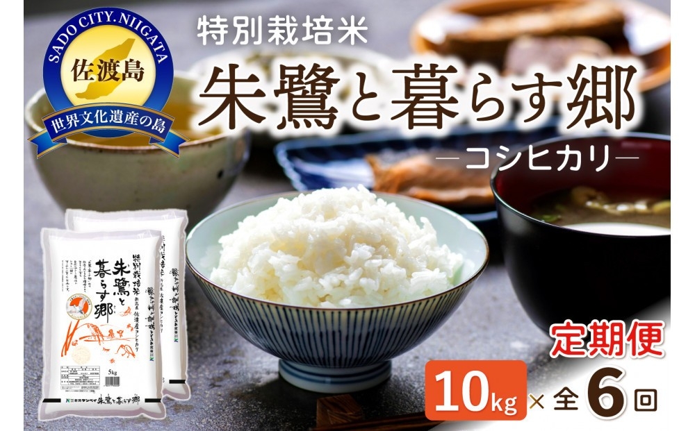 
                  【6か月定期便】佐渡産コシヒカリ「朱鷺と暮らす郷」精米10kg（5kg×2袋）×毎月 合計60kg | 新潟県産コシヒカリ 新潟産コシヒカリ 佐渡産コシヒカリ 新潟県産こしひかり 佐渡産こしひかり 朱鷺と暮らす郷 トキ 朱鷺 お米 米 こしひかり 白米 精米 おこめ コメ 10キロ にいがた さど 新潟県 佐渡市
                