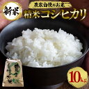 【ふるさと納税】 【令和6年産】精米 コシヒカリ 10kg お米 白米 米 おこめ ブランド米 こしひかり 10キロ 国産 単一原料米 コメ こめ ご飯 銘柄米 茨城県産 茨城 産直 産地直送 農家直送 お取り寄せ ふっくら ごはん 家庭用 贈答用 茨城県 石岡市 送料無料 (G399)