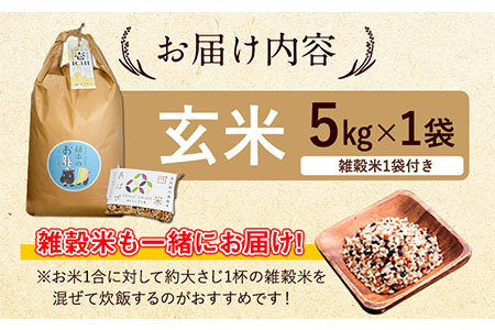 令和5年産 特別栽培米 いのちの壱(玄米)5kg×1 雑穀米付き《90日以内に出荷予定(土日祝除く)》 熊本県 南阿蘇村 熊本県産 虹色のかば 雑穀米