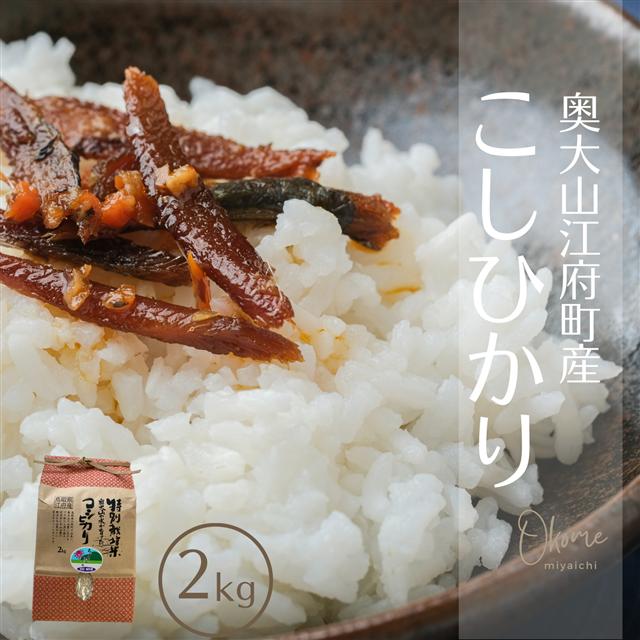 【令和7年産】コシヒカリ 2kg 鳥取県江府町産 こしひかり 精米 産地直送 お試し2ｷﾛ 0930