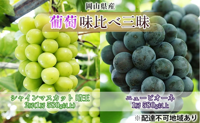 
                  ぶどう 2026年 先行予約 葡萄 味比べ三昧 シャイン マスカット 晴王 2房（1房 580g以上）ニュー ピオーネ  1房 580g以上（露地栽培）詰合せ ブドウ 葡萄  岡山県産 国産 フルーツ 果物 ギフト [№5735-1627]
                