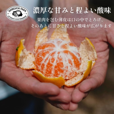 愛媛みかんの老舗厳選【愛媛県川上産 みかん 3kg(約30玉)】新口農園【C70−59】【1555030】