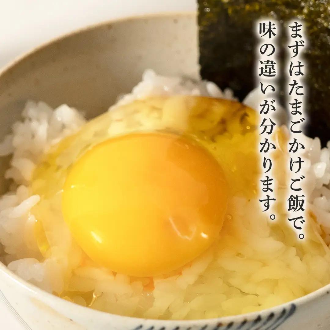 枝さんちのたまご(M～L20個) 産地直送  餌にこだわり 平飼いでのびのび育った卵 卵 非遺伝子組換え 7000 [BT001sa]
