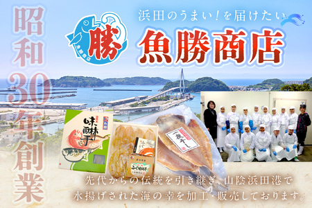 【訳アリ】白いか一夜干し （70g～150gｘ6～10枚） 訳アリ 小分け いか 白いか 個包装 一夜干し 産地直送 おつまみ【136_1984】