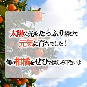 「甘柑きよみ」5kg【C79-27】【1474163】