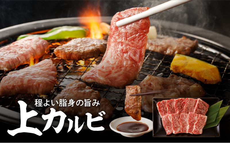 【7営業日以内に発送】【鹿児島黒毛和牛A4〜A5】焼肉上セット（上カルビ/上ロース）　K189-008