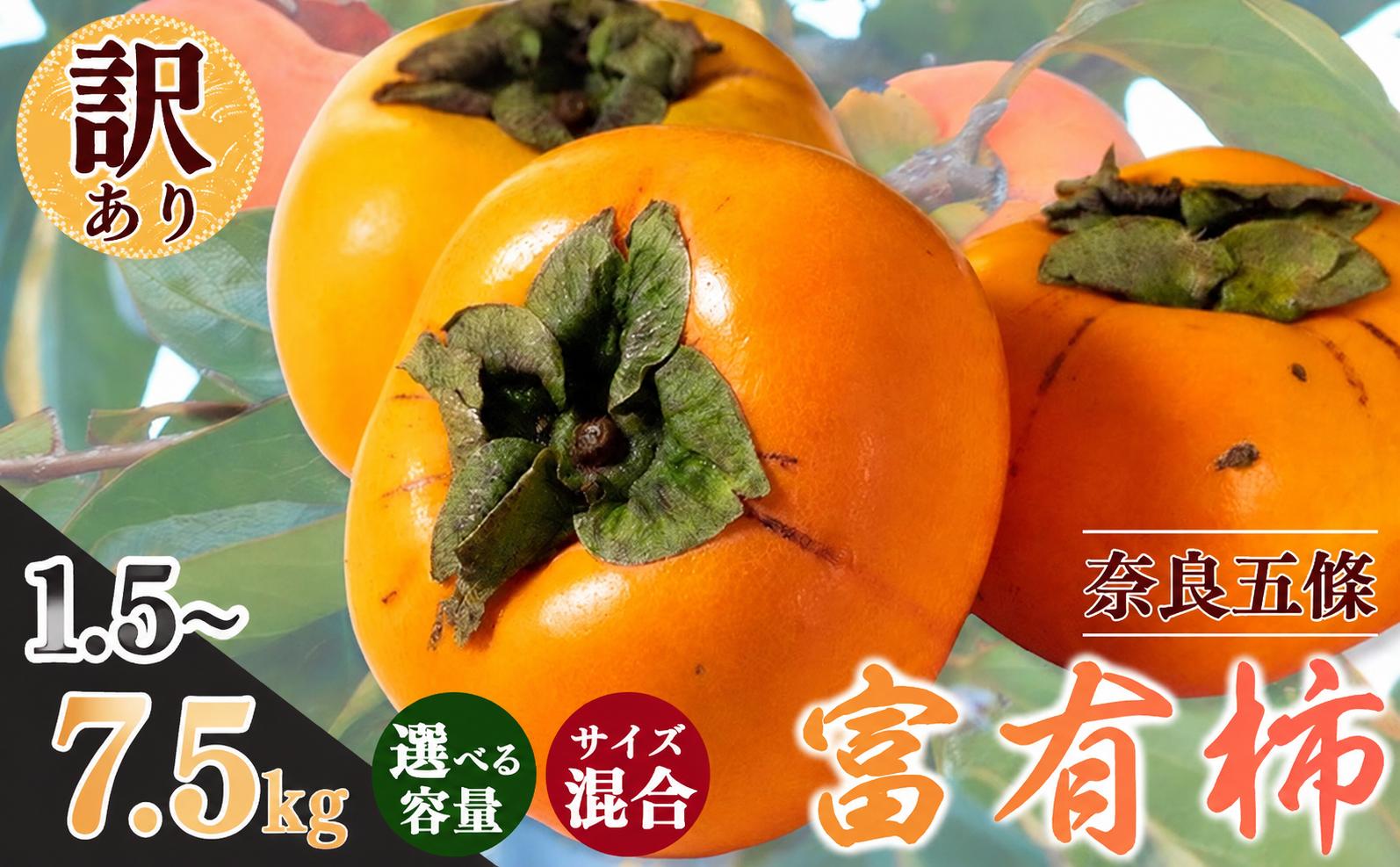 
                  訳あり 富有柿 約 1.5kg ~約 7.5kg サイズおまかせ | フルーツ くだもの 果物 柿 かき カキ 奈良県 五條市 柿の王様 わけあり 訳アリ フルーツ 果実 食感 こだわり 11月 秋 旬 味覚 グルメ お取り寄せ 送料無料 LIP～幸せいちご園～ 大容量 選べる 容量 農家直送 産地直送 ビタミン タンニン 食物繊維 豊富 美容 健康
                
