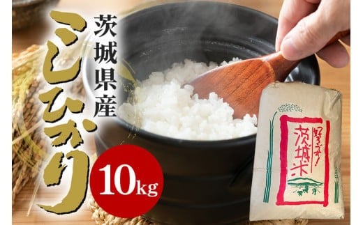 
            【令和6年産】石岡市産コシヒカリ10kg 限定30袋 精米 米 お米 こしひかり 白米 こめ コシヒカリ 10.0kg ブランド米 取り寄せ 特産 ごはん ご飯 コメ お取り寄せ ギフト 贈り物 お弁当 弁当 おにぎり ふっくら ツヤツヤ 甘い 農家直送 産地直送 数量限定 国産 茨城県産 石岡市 贈答 (B05-002)
          