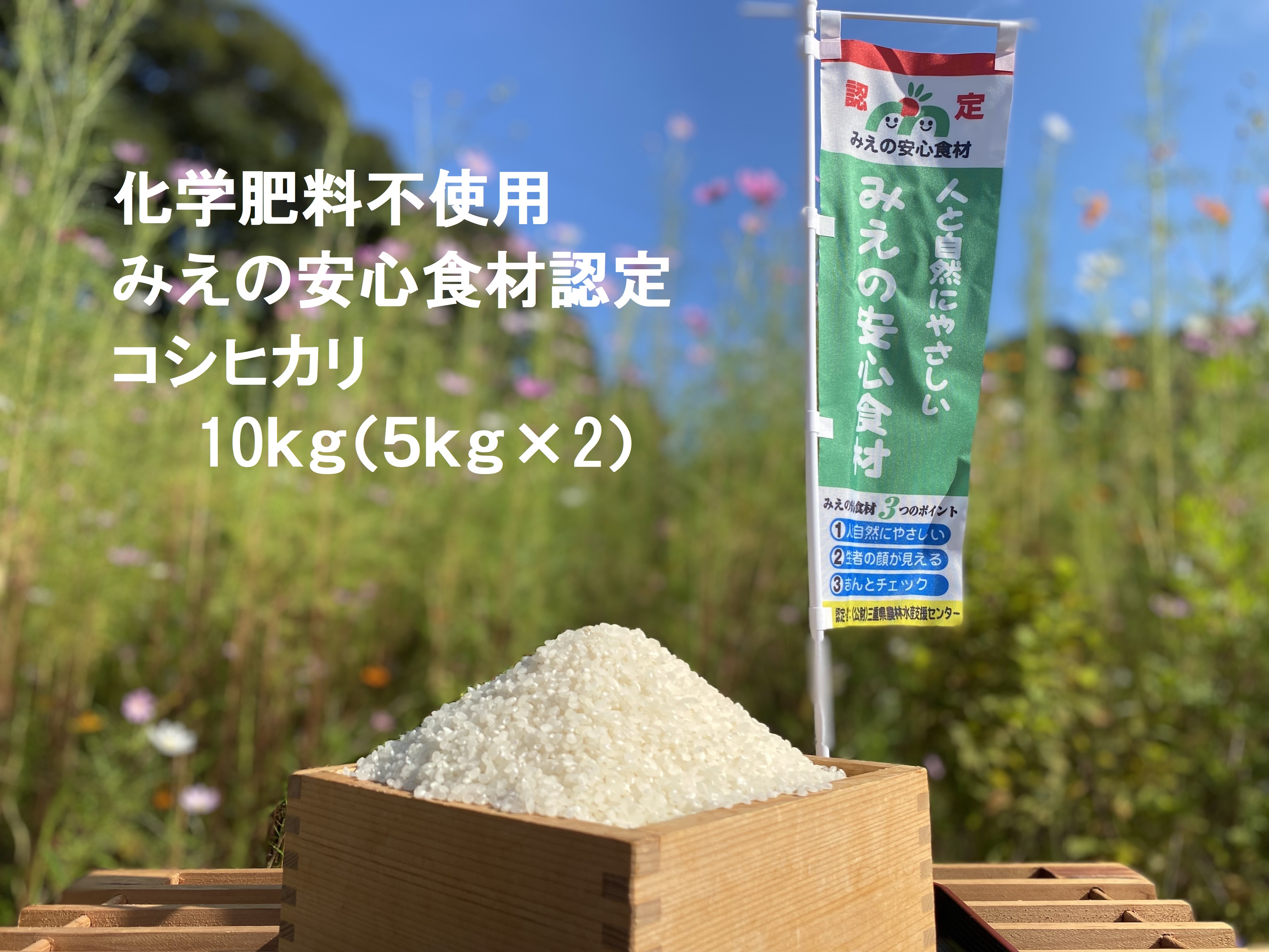 コシヒカリ 5㎏ れんげ緑肥で育てたみえの安心食材の認定 　化学肥料 不使用 みえ 安心食材認定 国産 コシヒカリ コシヒカリ コシヒカリ コシヒカリ GE-03