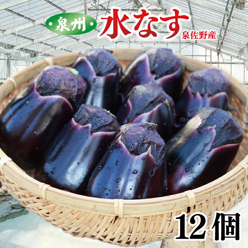 【ふるさと納税】【先行予約】 期間限定 ナス ハウス 水なす 12個 夏旬の水なすを冬にどうぞ 泉州水なす 皮が薄く 水分が多い あく えぐみが少ない 生のサラダで美味しく食べれる ぬか漬けにも 大阪府 泉佐野産 野菜 冷蔵配送 送料無料