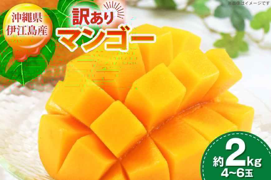 
            【期間限定発送】 訳あり マンゴー (アーウィン種) 約 2kg (4〜6玉) [伊江村マンゴー部会 沖縄県 伊江村 ie47bde320010] 沖縄 フルーツ 果物 甘い 夏 濃厚 Mango 果物 果実 くだもの
          