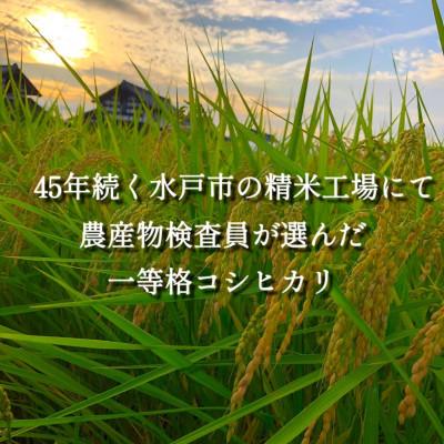 ふるさと納税 水戸市 【毎月定期便】茨城県産コシヒカリ　宝蔵米　15kg(5kg×3)全3回 |  | 01
