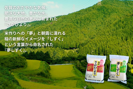 五つ星お米マイスターが厳選！【無洗米】食べ比べセット さがびより2kg×2袋・夢しずく2kg×2袋（真空パック）：B350-021