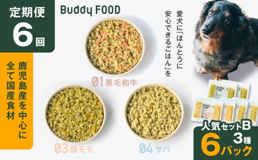 【全6回定期便】Buddy FOOD 人気セットB 3種6パック　K390-T12_b