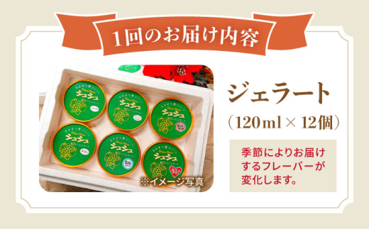 【12回定期便】シュシュのスペシャルジェラート12個セット（定番/季節限定/スペシャル2種） / アイス アイスクリーム ジェラート スイーツ /  大村市 / おおむら夢ファームシュシュ [ACAA