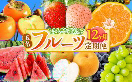 【 定期便 12回 】 まるごと 堪能 ！ 人気 フルーツ  | 果物 くだもの フルーツ みかん 赤いちご 白いちご 不知火 スイカ メロン 黒ぶどう シャインマスカット 太秋柿 定期便 12回 1