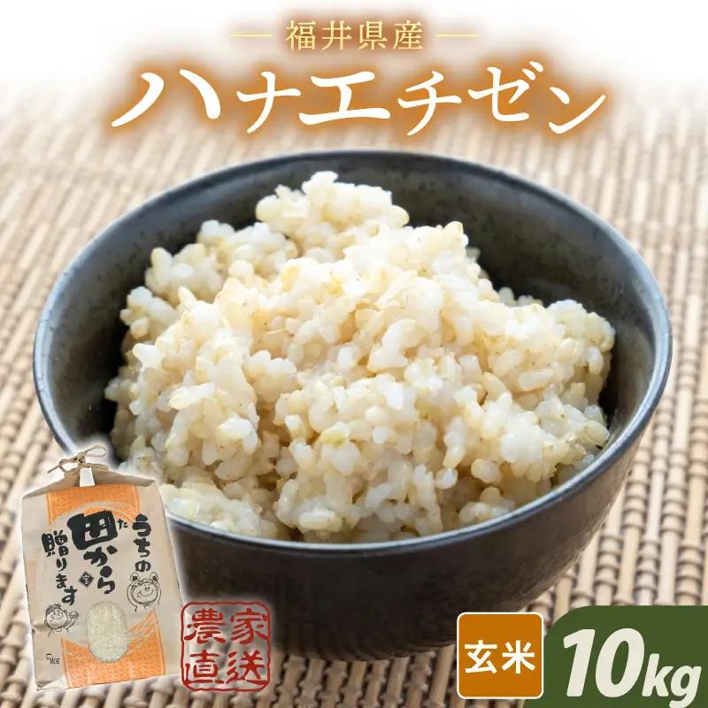 【令和8年産・新米】 ハナエチゼン10kg(5kg×2袋) ～本原農園からまごころコメて～（玄米）[A-89103_02]