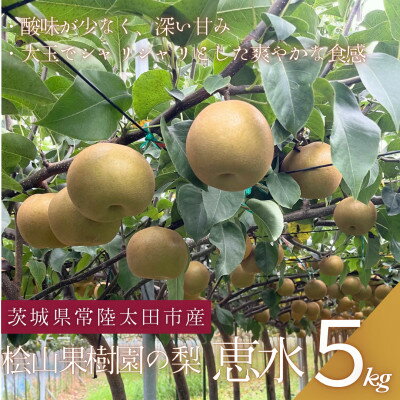 【ふるさと納税】【数量限定!】桧山果樹園の茨城県ブランド梨　恵水5kg【配送不可地域：離島・沖縄県】【1645131】