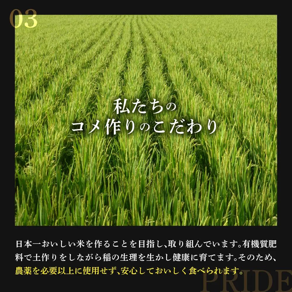 【先行予約】12ヶ月定期便 令和8年産 はえぬき 5kg × 12回 計 60kg 〈 2026年 10月 ～ 2027年 9月 配送 〉 ブランド米 産地直送 2026年産