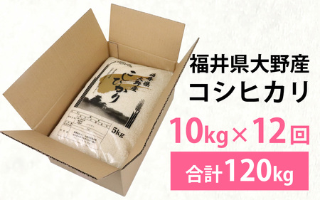 【先行予約】【12ヶ月定期便】【令和６年産】福井県大野産コシヒカリ（白米）10kg(5kg×2袋)×12回 計120kg [L-094001]