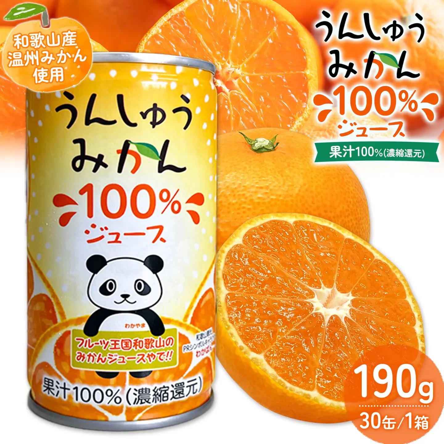 うんしゅうみかん 果汁100%（濃縮還元）30缶 