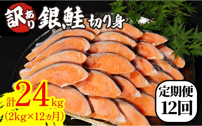 訳あり 鮭 定期便 12回 (2kg × 12回 24kg) さけ サケ 銀鮭 切り身 切身 サイズ 不揃い サーモン ごはん のお供 おつまみ 酒の肴 魚 魚介 小魚 海鮮 海産物 おかず お米 シャケ 塩銀鮭 塩さけ 塩サケ グルメ 訳アリ 家庭用 弁当 食品 新鮮 冷凍  徳島県