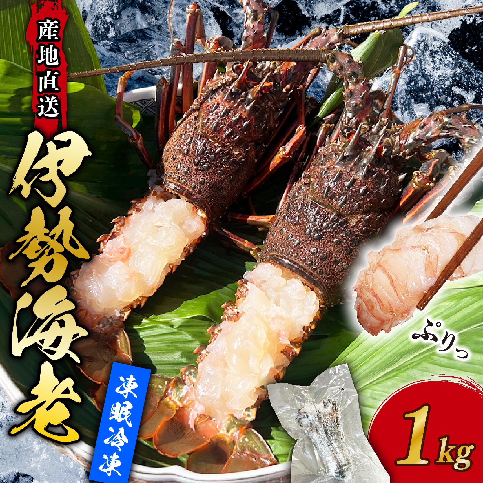 【 訳あり 】伊勢海老 冷凍 1kg いせえび わけあり 海老 えび エビ イセエビ 冬眠冷凍 家庭用 海鮮 鮮度 産地直送 漁師直送 刺し身 味噌汁 だし 年末 ふるさと納税 高知県 室戸市