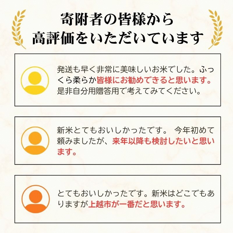 【えちご上越米】令和7年産 新潟県上越産 コシヒカリ 10kg 