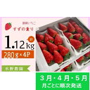 【ふるさと納税】イチゴ 苺 いちご 新品種　★3月・4月・5月発送★ 掛川産 完熟いちご「 ミズノ農園の すずの薫り 」280g×4パック　約1.12kg（その日に収穫したものを受付順に順次発送）〔静岡 すずのかおり 香り 人気 甘い ボリューム 掛川市 ミズノ農園 〕