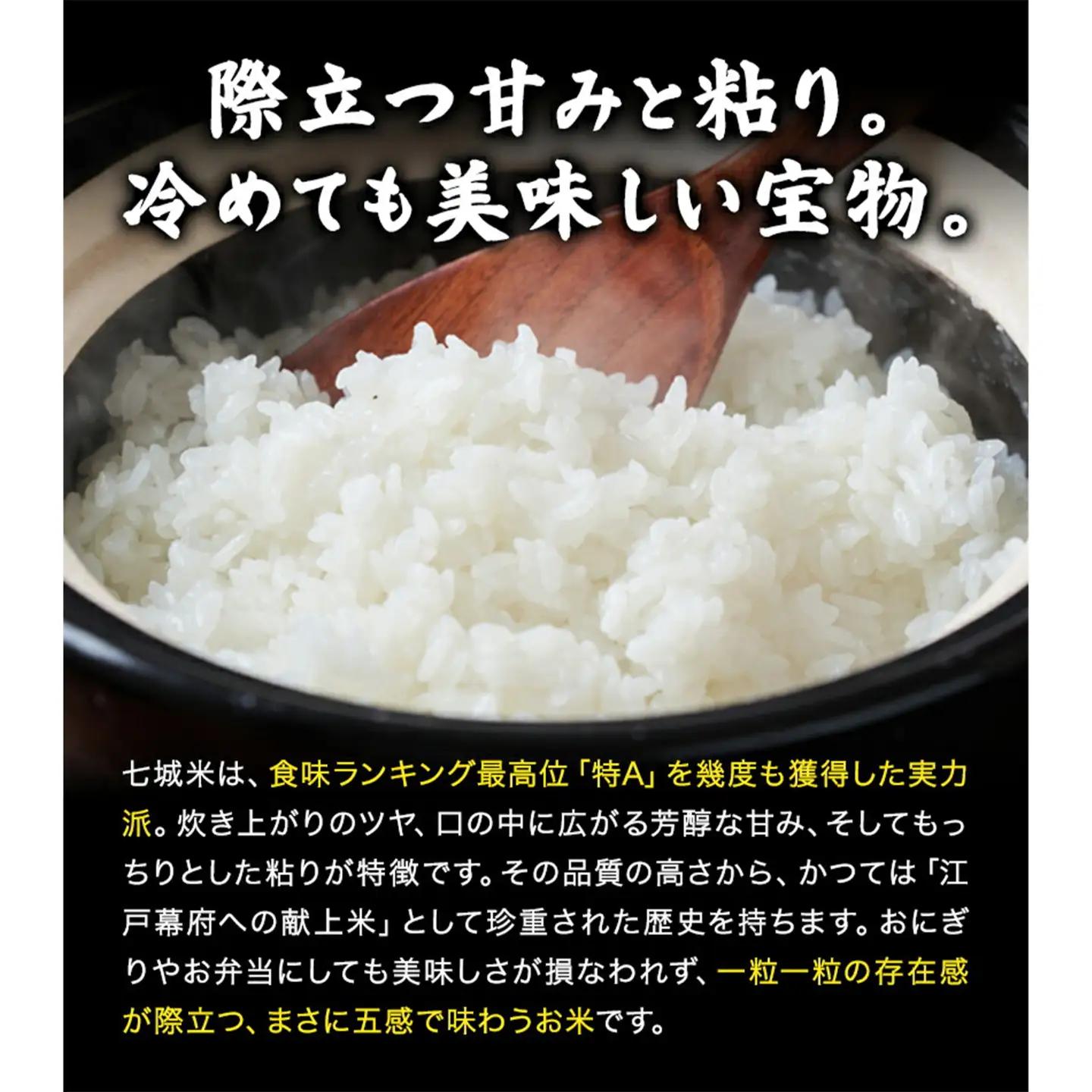 【3ヶ月定期便】令和7年産 菊池市七城町産 田代家の七城米 七城ヒノヒカリ 無洗米 10kg 田代こめや《お申し込み月の翌月から出荷開始》熊本県 菊池市 米 お米 精米 ひのひかり 菊池市産 熊本県産