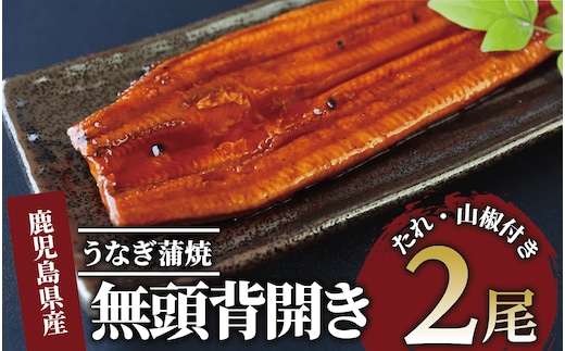 
										
										鹿児島県産うなぎ蒲焼 無頭背開き2尾(奈良/012-1667) ウナギ 鰻 うなぎ 国産 うなぎ蒲焼 蒲焼 かば焼き 蒲焼き かばやき 土用の丑の日 丑の日 うな丼 うな重 鹿児島県産 鹿児島産 指宿 いぶすき 長焼き 真空パック たれ
									